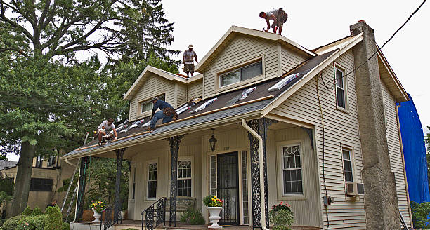 Best Roof Gutter Cleaning  in Bourbon, MO